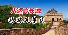 大鸡吧网在线视频免费观看中国北京-八达岭长城旅游风景区
